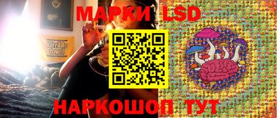 apvp Сланцы